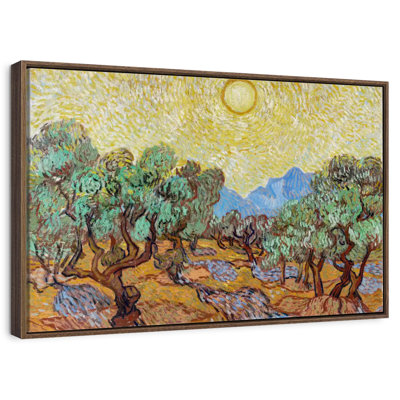 Olive Trees With Yellow Sky And Sun