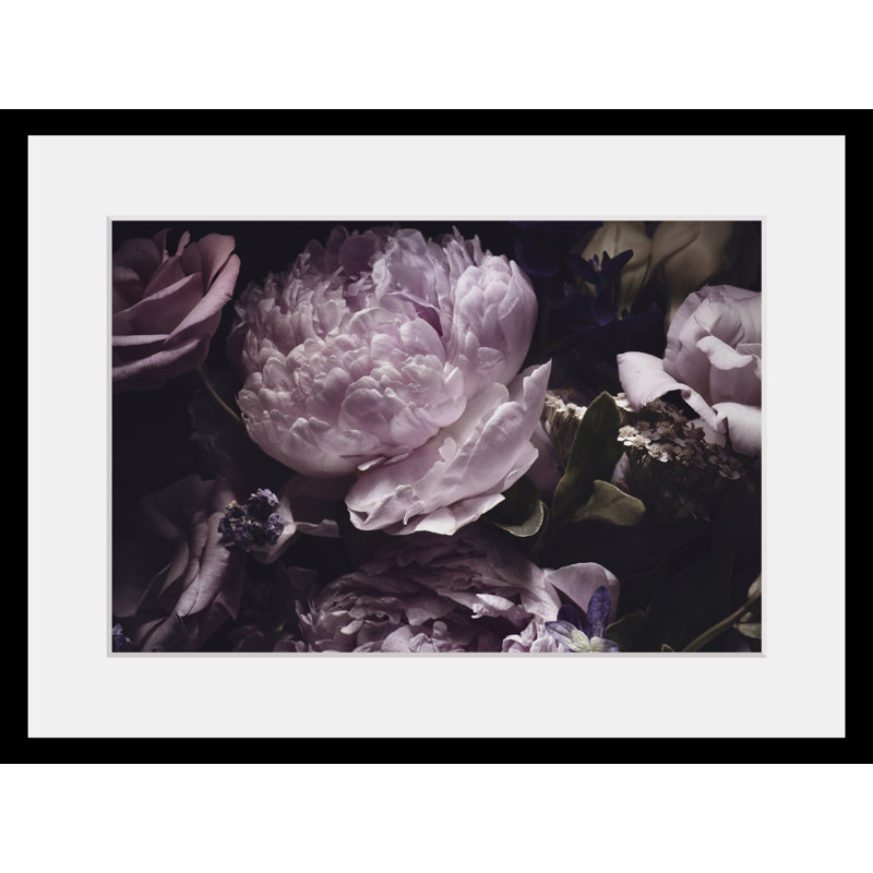 Rose - Single Picture Frame Print