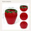 Strawberry Decorative Planter