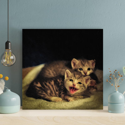 Deux chatons tigrés souriants sur textile blanc - 1 pièce, impression carrée sur toile tendue