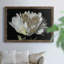 Pivoine blanche - Reproduction d'art sur toile encadrée-1176643697-1176643696