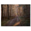 Road Thorugh Winter Forest Trees - reproduction d'art sur toile encadrée-752427693-752427694