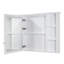 42'' W 30'' H Surface Framed Medicine Cabinet Mirror 5 Fixed-774840347