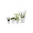 Ecopots Indoor/Outdoor Modern Round Recycled Plastic Planter Flower Pot-295213194-299299532-314918778