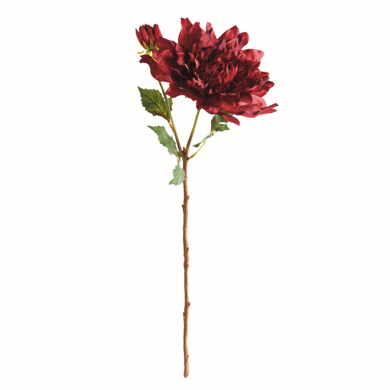 Tige de dahlia 21,5 po, Grenat
