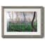 Bennecourt, 1887-1912156698-1912156703