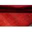 Tapis rouge noué à la main de conception unique 4 pi x 5 pi 11 po New Age
