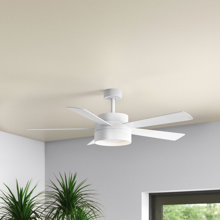 Mercury Row® Craver 52'' Ceiling Fan with LED Lights  Reviews Wayfair