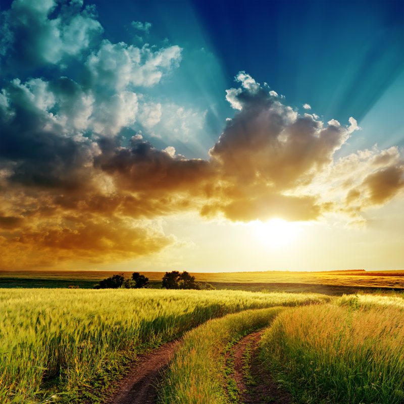 Sunset Over Road In Green Field by Mykola Kuryliuk - Wrapped Canvas Print, 30cm H x 30cm W x 3.8cm D