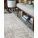 Sherrill Oriental Indoor Rug