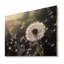 Simaya White Black Dandelion Whispers III sur impression de bois-334845481