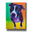 «Pit Bull - Truman» par Dawg Painter-1371513173