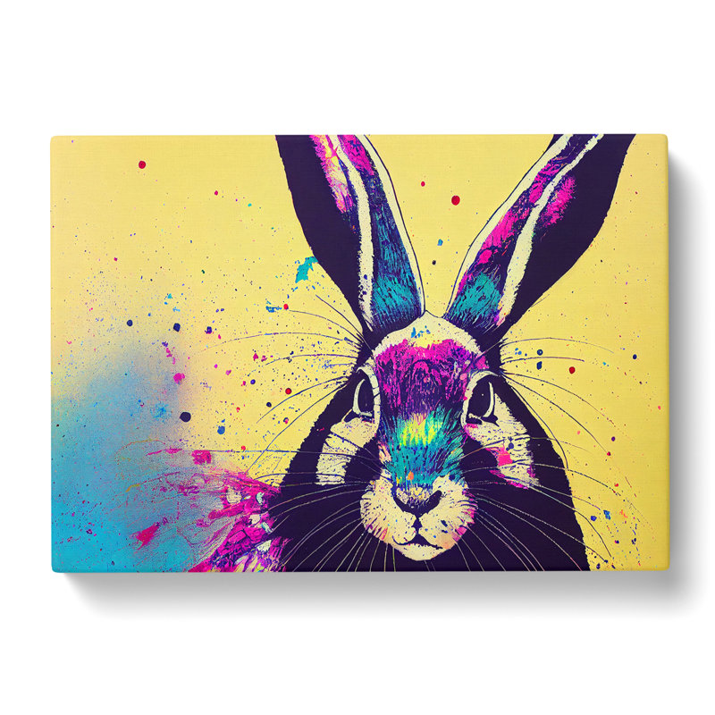 Hare Splash Vol.6 Abstract - Wrapped Canvas, 40cm H x 60cm W x 3cm D