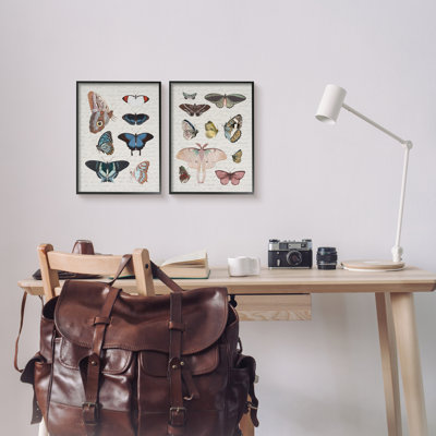 Vintage Butterflies & Moths Framed On Wood 2 Pieces Print -  Stupell Industries, a2-647_fr_2pc_11x14