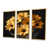 Gold Floater Framed Canvas selected