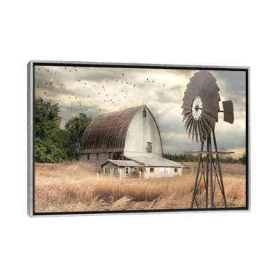 Henderson Bay Farm by Lori Deiter - Photograph Print