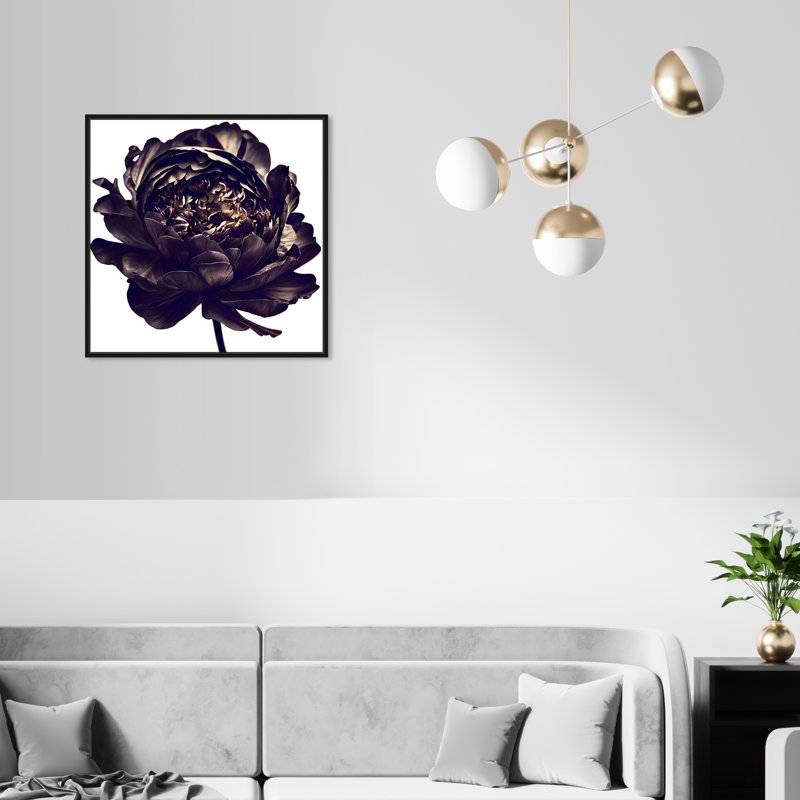 Pivoine noire - Impression sur toile, Cadre noir, H 21 po x l 21 po