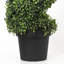 Ensemble de 2 buis artificiels en pot-66749308