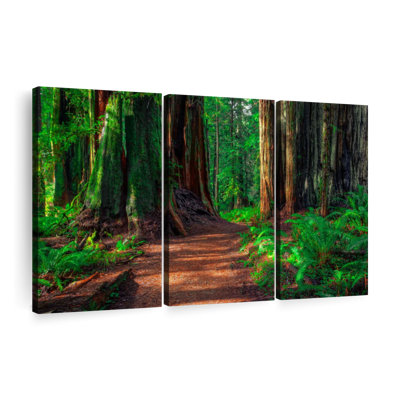 «Redwood Forest Path» sur toile