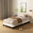 Dibiase 4'' Metal Box Spring-1900846943
