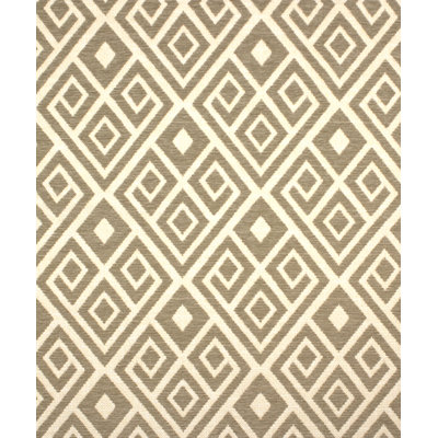 Swash Buckler Fabric