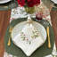 Winterberry 22" Napkin