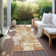 Machine Washable Indoor/Outdoor Chayden ACN1008 Copper Rug