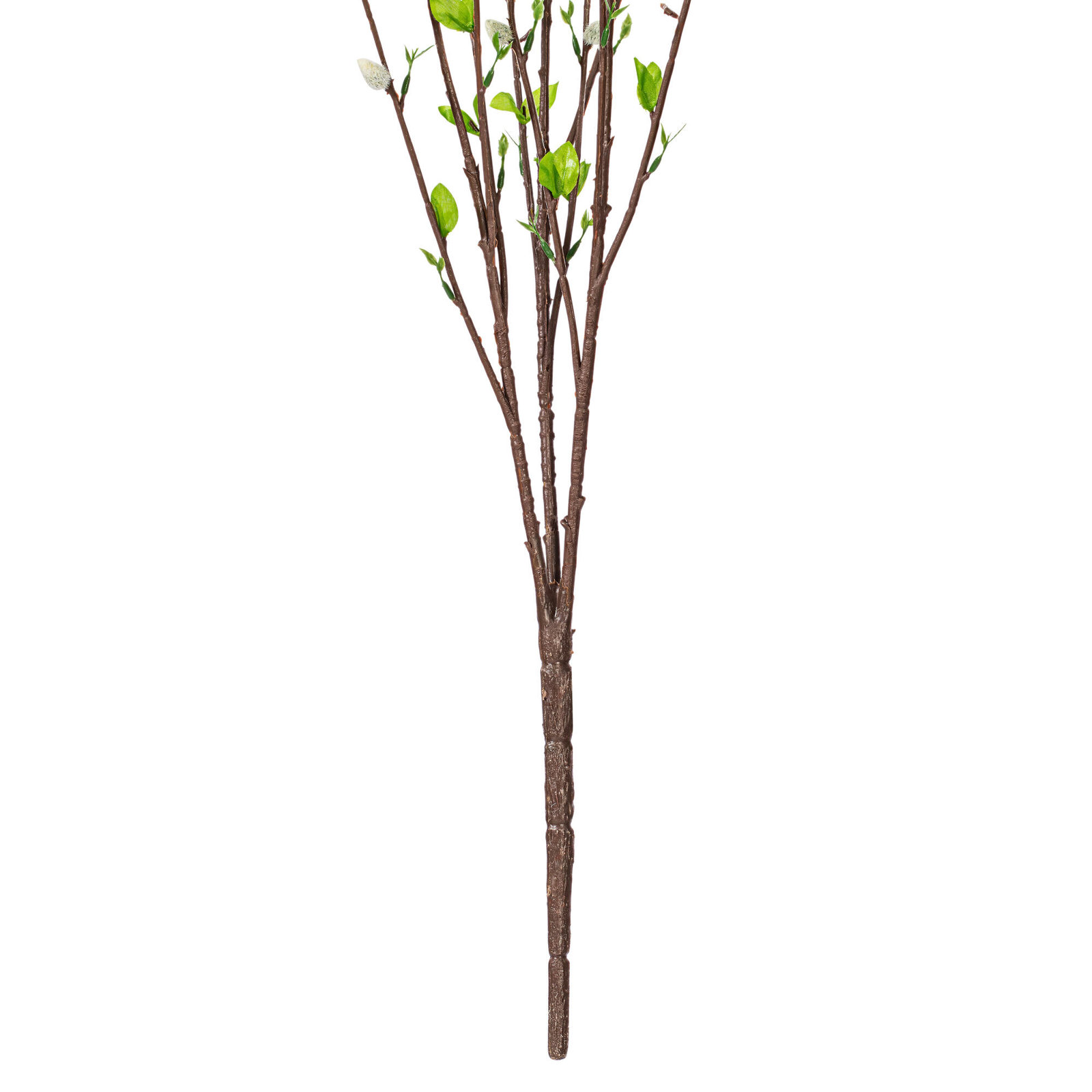 Willow Stems