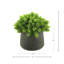 Faux Succulent in Fiberstone Pot-1601367876