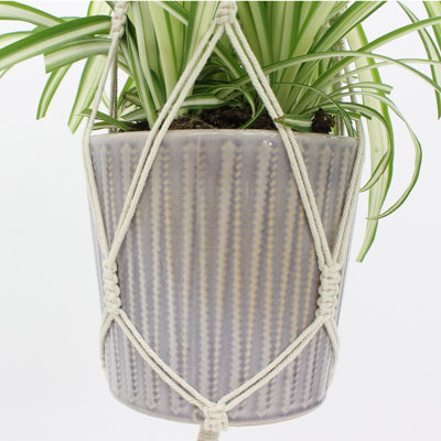 Support pour plante tressée en macramé