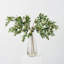 Lifelike Amalfi Olive Branches in Large Recycled Glass Bottle Vase Everyday Greenery Water Illusion Arrangement