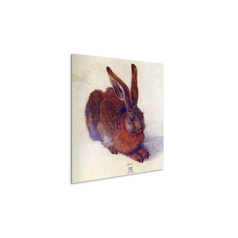 Field hare by Albrecht D 58x58 Cm Frameless Panel Lightweight Ready to Hang, MetalArt Materic