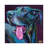 Great Dane On Violet by Robert Phelps - Wrapped Canvas Gallery-Wrapped Canvas Giclée-1135424300