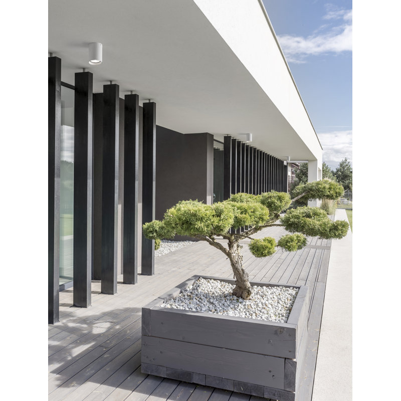LED Outdoor Flush Mount, White