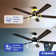 Laquaysha 60'' Ceiling Fan with LED Lights