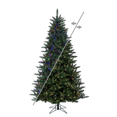 14' x 90" Camdon Fir 5mm 2200CC