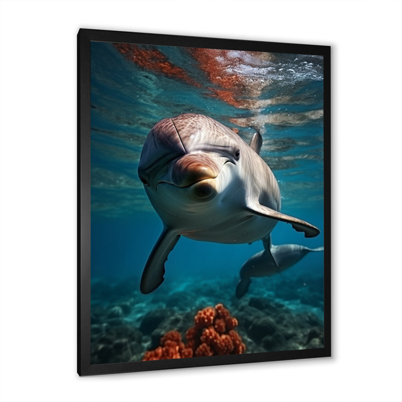 «Dolphin Serene Swim I» sur toile, H 32 po x l 16 po x P 1 po, Cadre photo noir