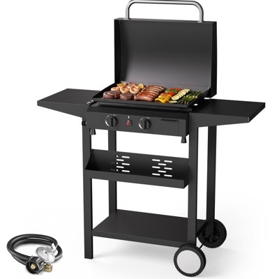 Barbecue au propane à 2 brûleurs 17 po avec chariot tout-en-un, plaque chauffante extérieure à roulettes, noir