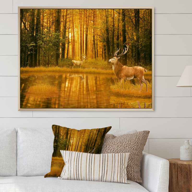 Deer Bucks In Summer Sunset - Décoration murale traditionnelle sur toile, H 8 po x l 12 po x P 1 po, Cadre flottant brun