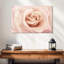 Rose Harnek pêche-108952408
