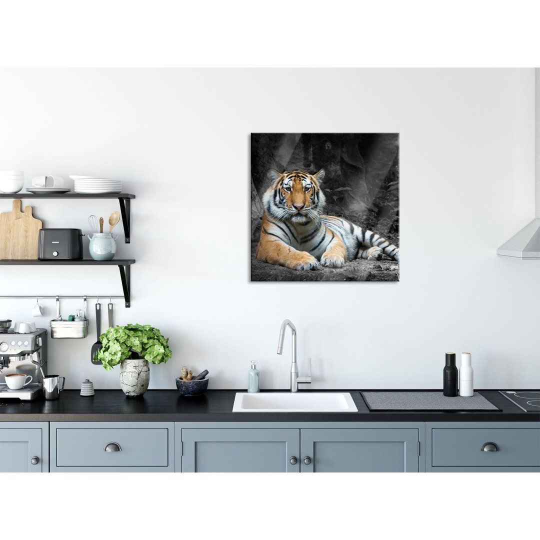 Glasbild Ruhender Tiger