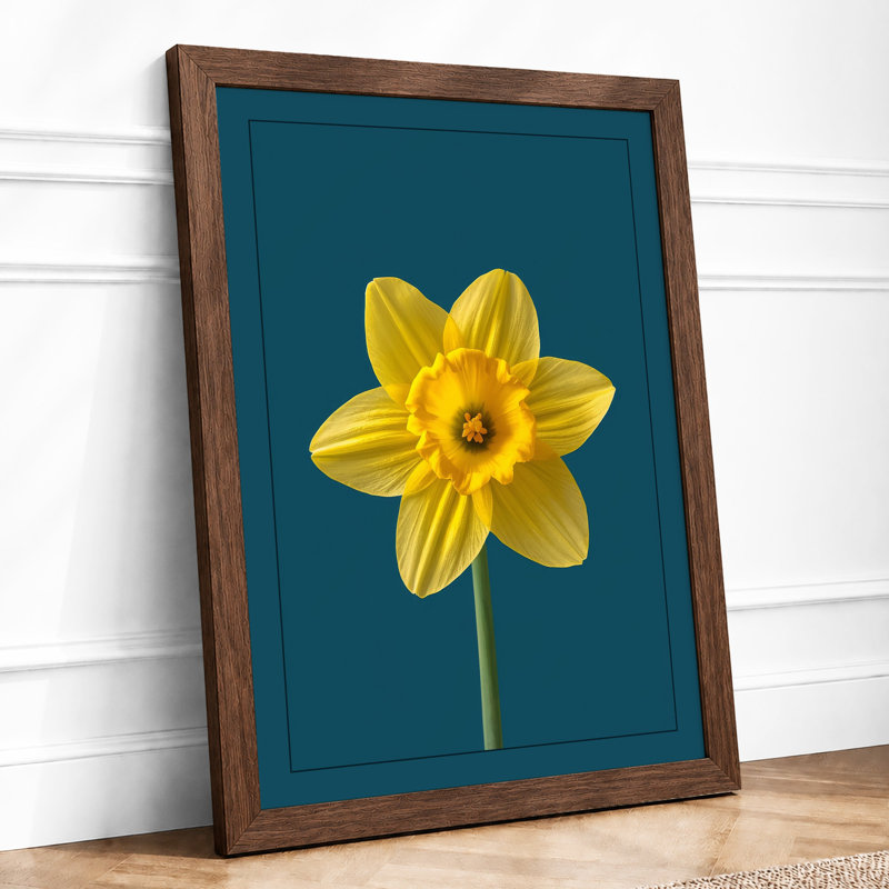 Golden Daffodil Botanical - Framed Print, A1 - 84.1 x 59.4 cm, Walnut