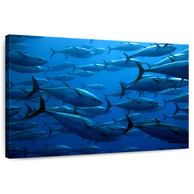 Brampt School Of Tuna Fish, 32'' H x 48'' W