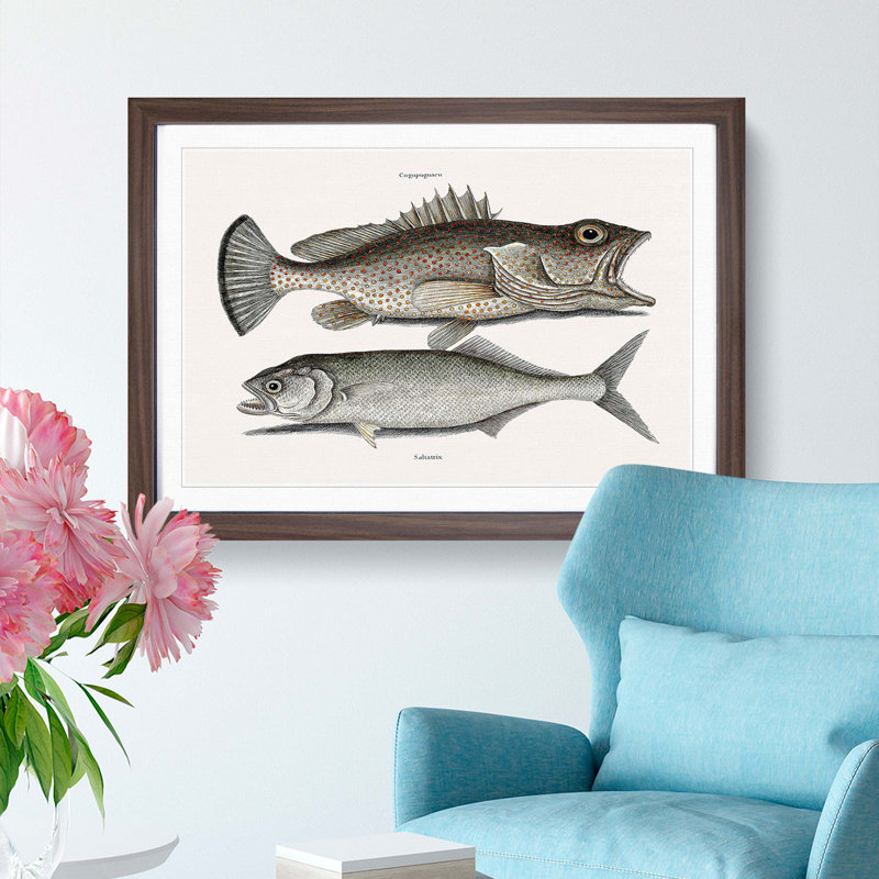 Skipjack & Hind Fish by Mark Catesby - Picture Frame Painting Print, 27cm H x 36cm W x 2cm D, Walnut Framed