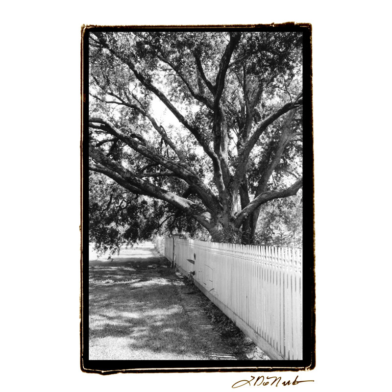 Summer Shade II - Wrapped Canvas Print, 46cm H x 30cm W x 3.8cm D