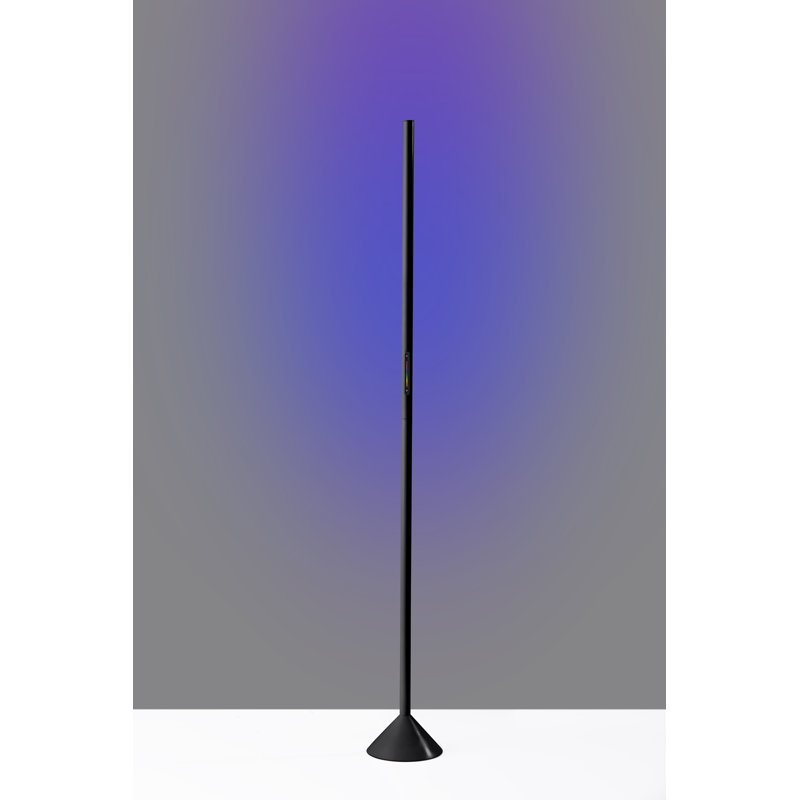 Leif 58'' LED Novelty Floor Lamp, Matte Black