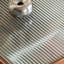 Ensemble de tables basses Solid + Glass-111988544-111988546