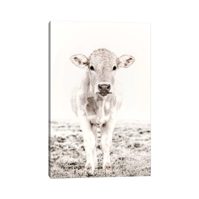 Blonde Cattle Maverick White by Monika Strigel - Print on Canvas