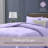  soft microfiber 2 piece comforter set with pillow sham-124429638-124429627
