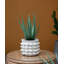 Ensemble de 2 pots à fleurs Mosley-1629223541